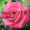 návštěvnost